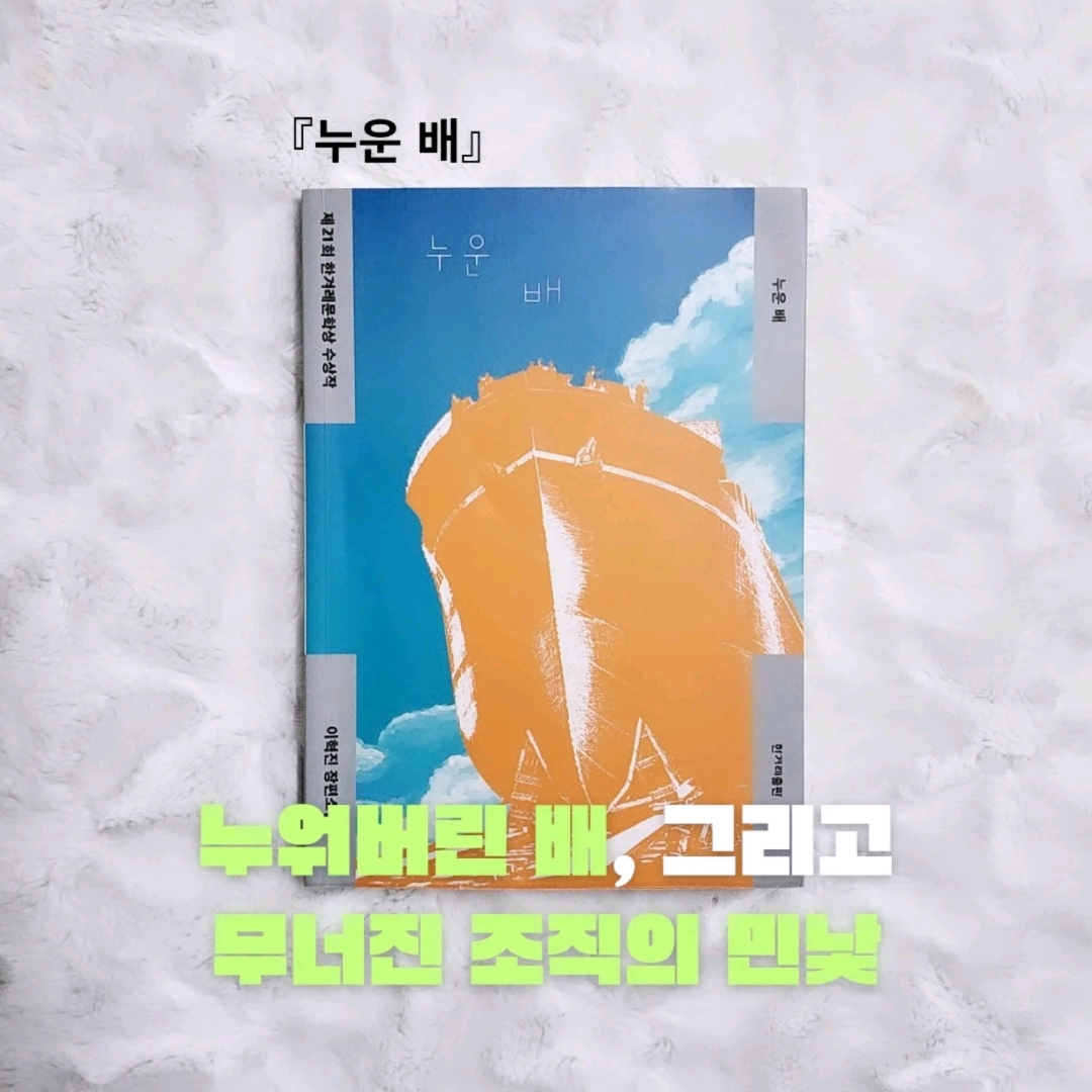 업스트리머님의 누운 배 게시물 이미지