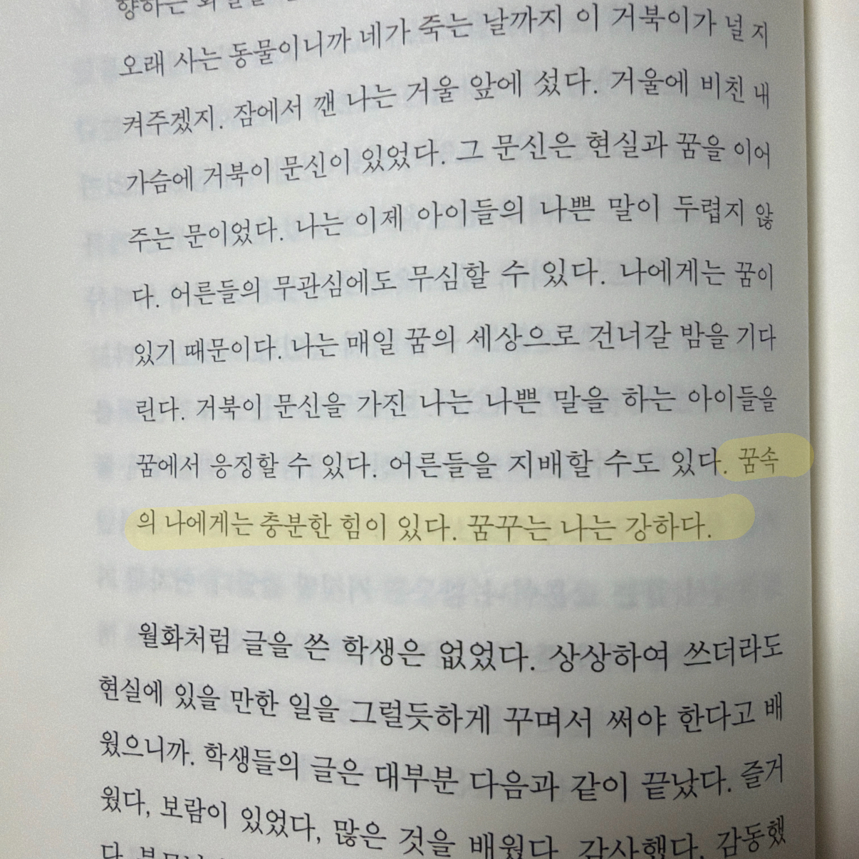 zizi님의 단 한 사람 게시물 이미지