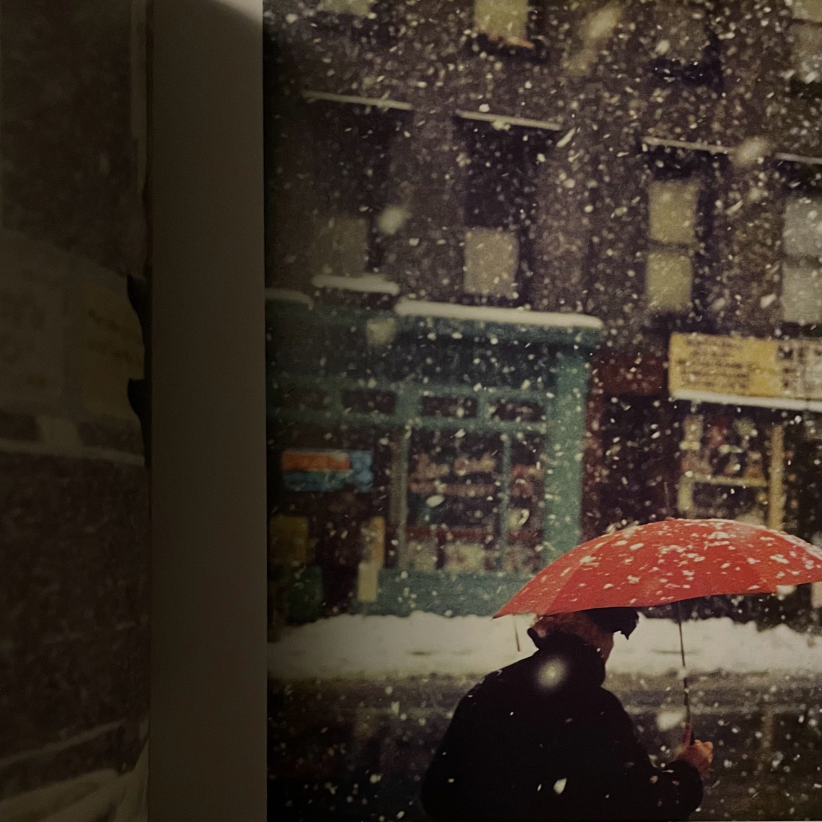 차님님의 영원히 사울 레이터 게시물 이미지