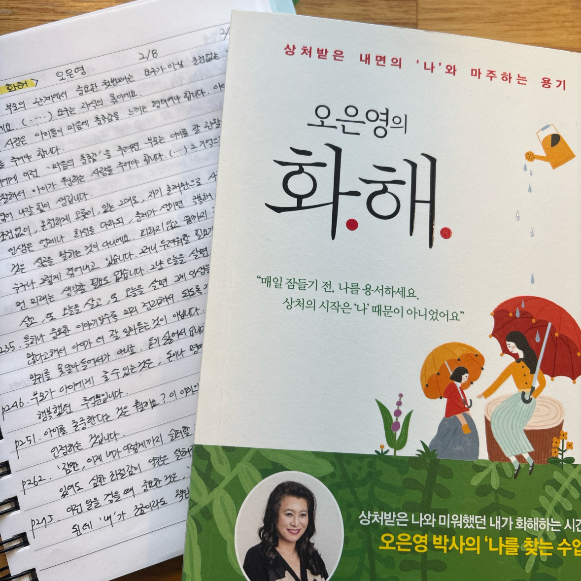제플린님의 오은영의 화해 게시물 이미지