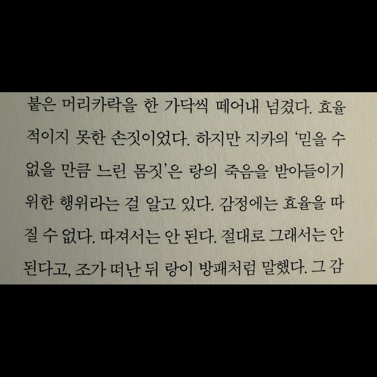 히둥님의 랑과 나의 사막 게시물 이미지