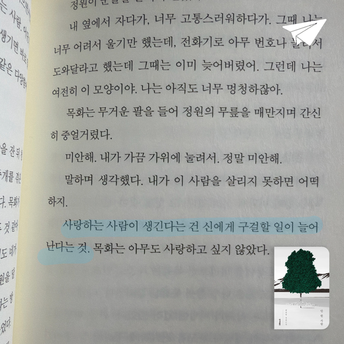 zizi님의 단 한 사람 게시물 이미지