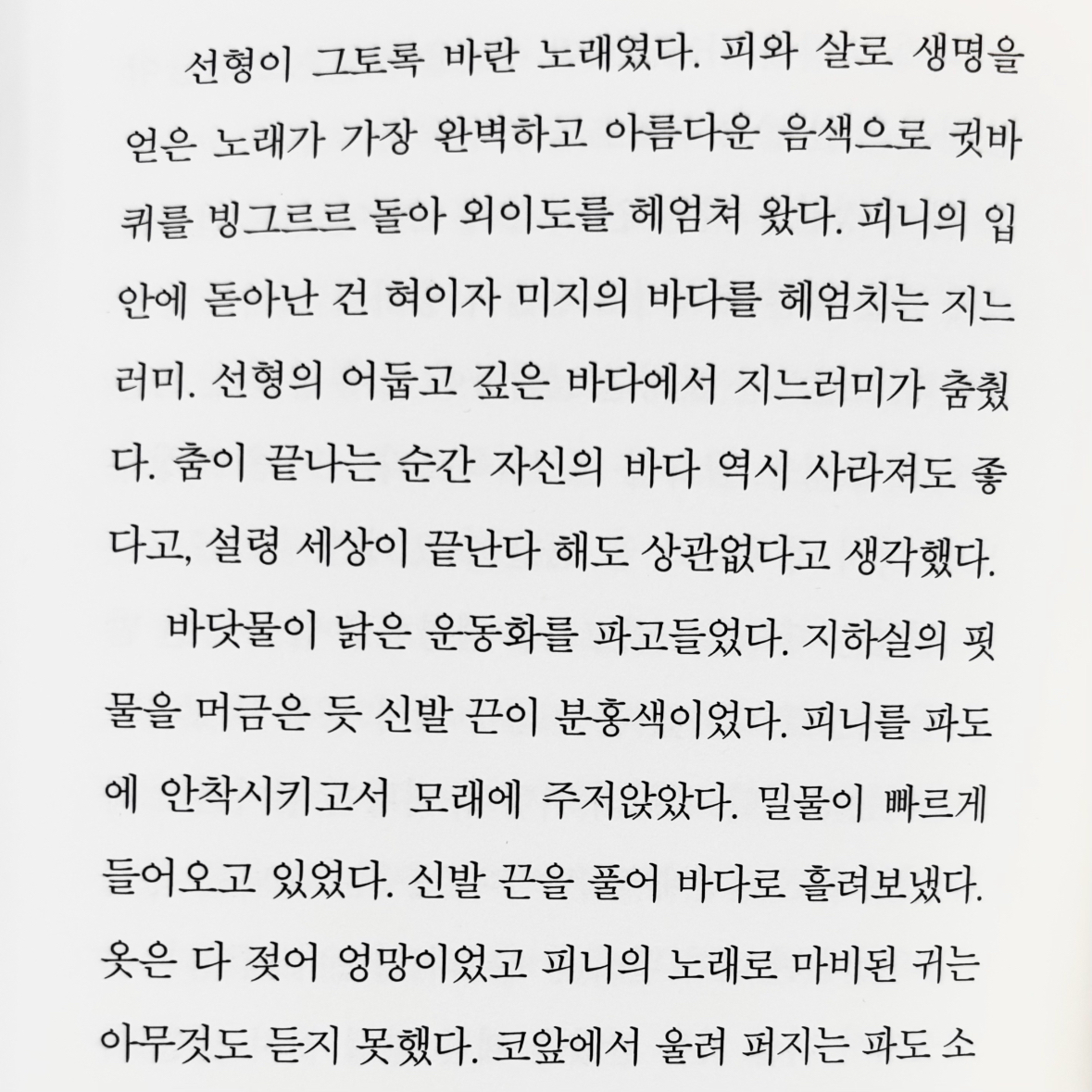 빈님의 입속 지느러미 게시물 이미지