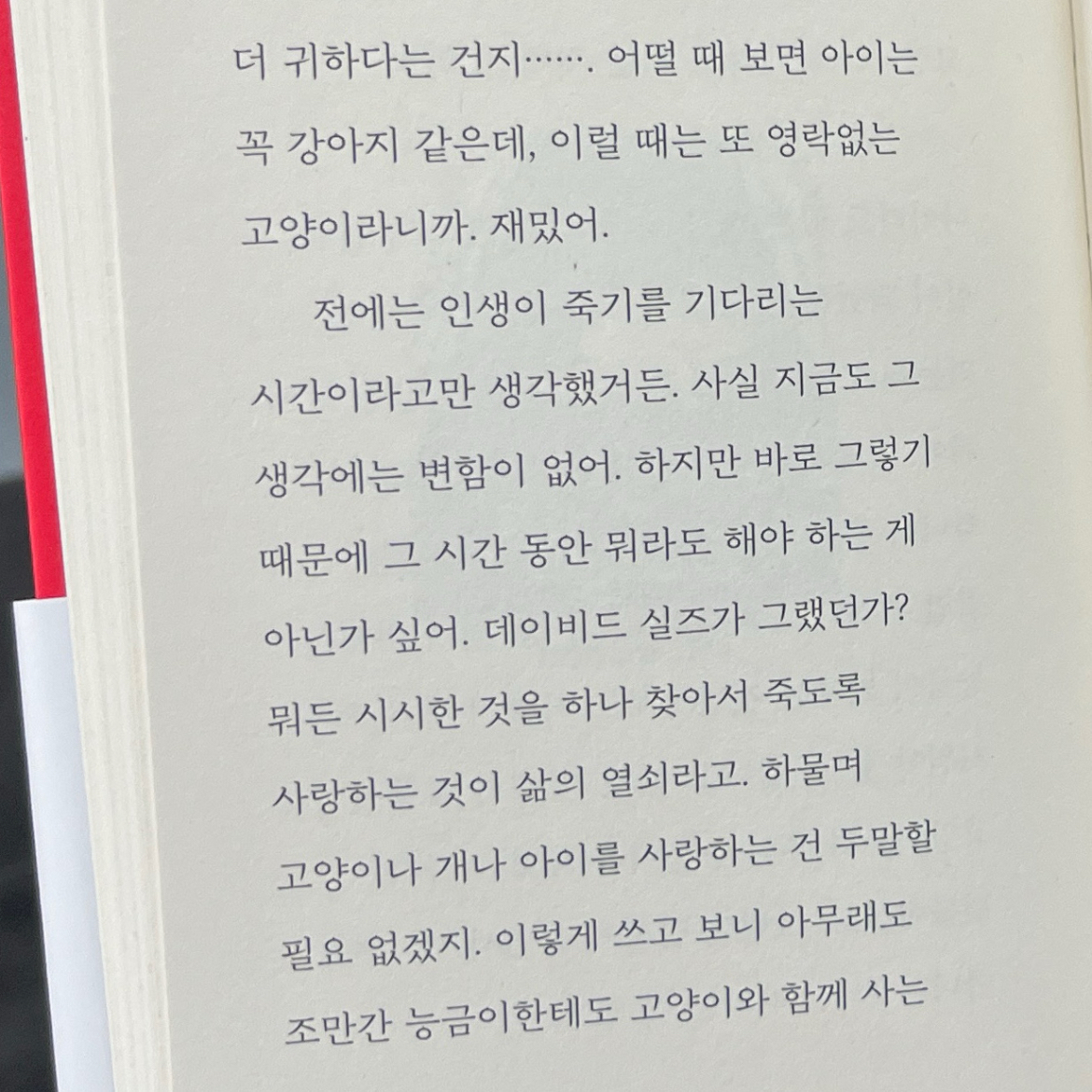 파이님의 모두 일요일이야 게시물 이미지