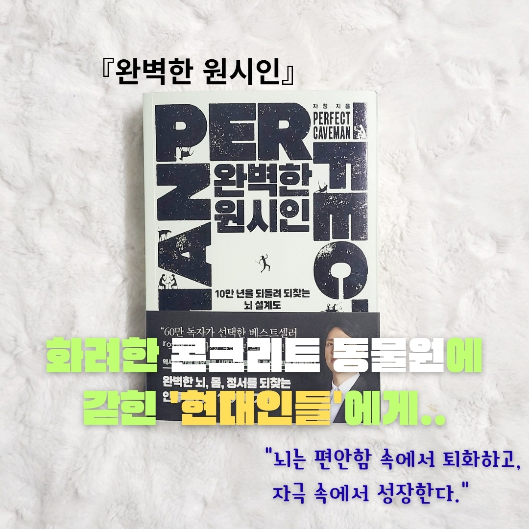 업스트리머님의 완벽한 원시인 게시물 이미지