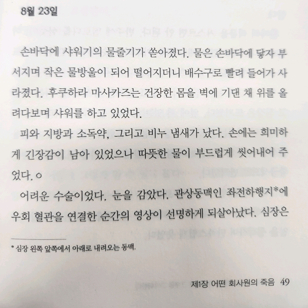 모든것님의 마지막 의사는 벚꽃을 바라보며 그대를 그리워한다 게시물 이미지