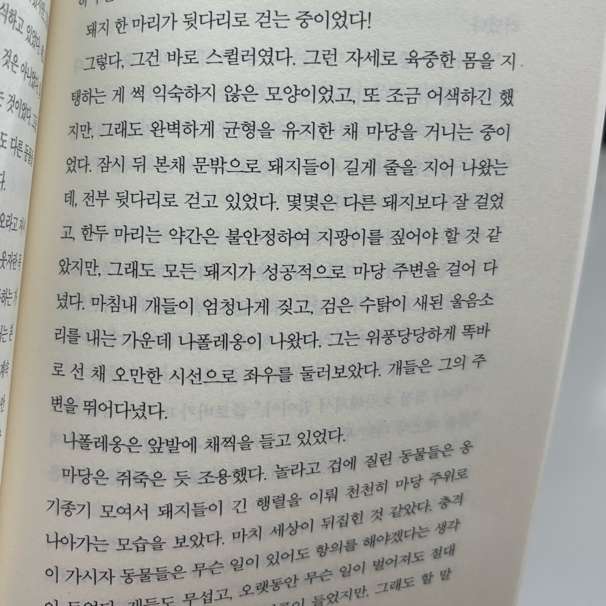 박서아님의 동물농장 게시물 이미지
