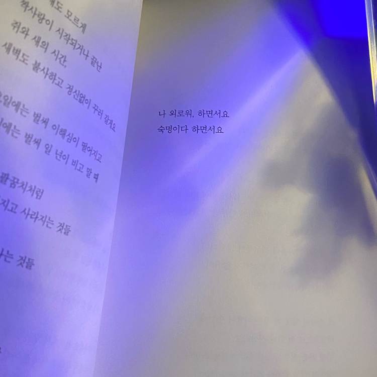 novel님의 게시물 이미지