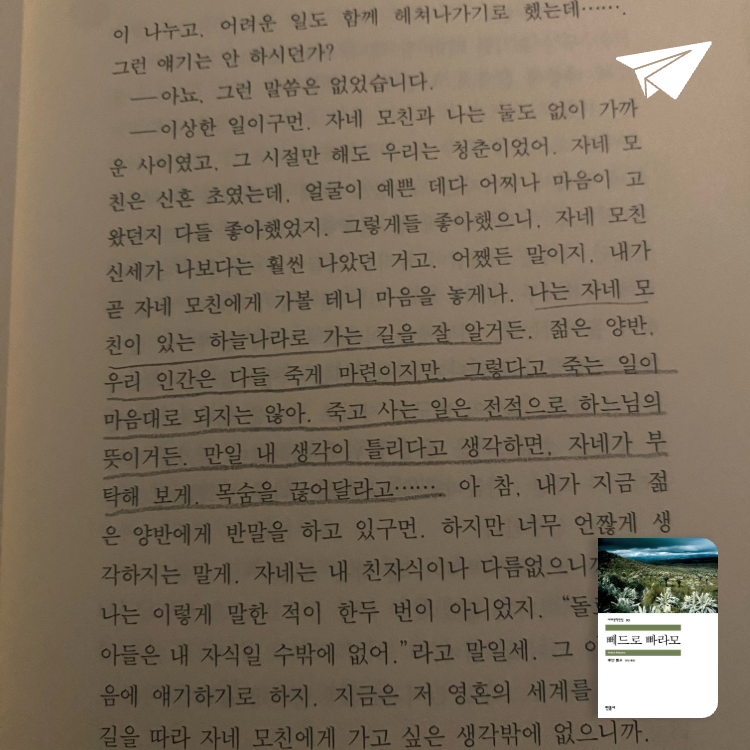 novel님의 뻬드로 빠라모 게시물 이미지