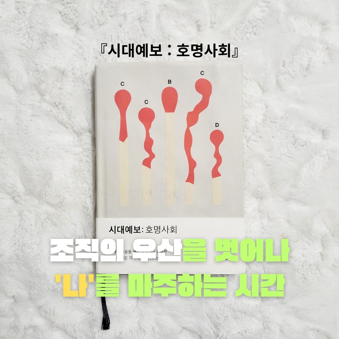 업스트리머님의 시대예보 게시물 이미지