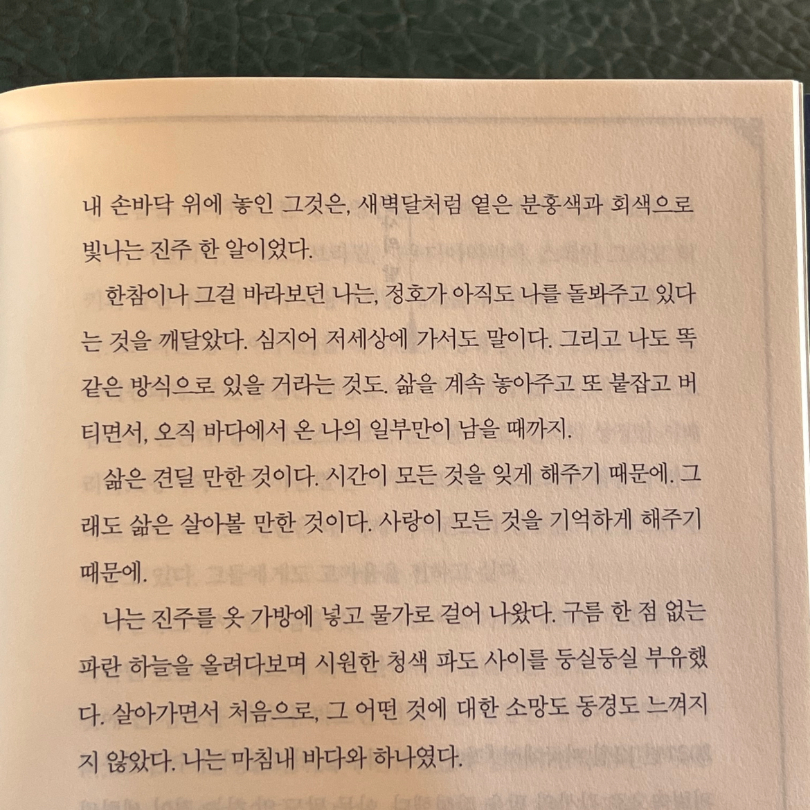 Ong님의 작은 땅의 야수들 게시물 이미지