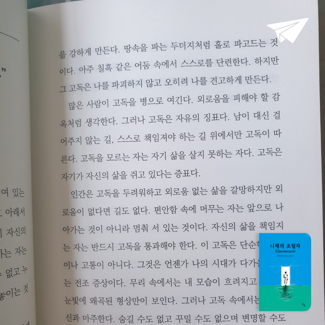 맥거핀님의 니체의 초월자 게시물 이미지