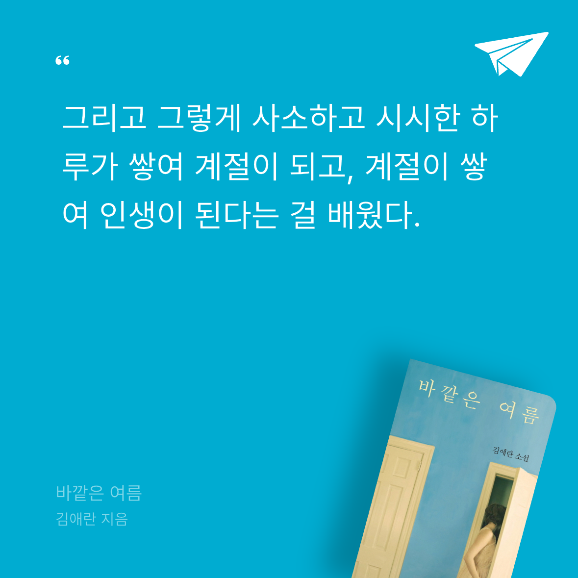 다솜님의 바깥은 여름 게시물 이미지