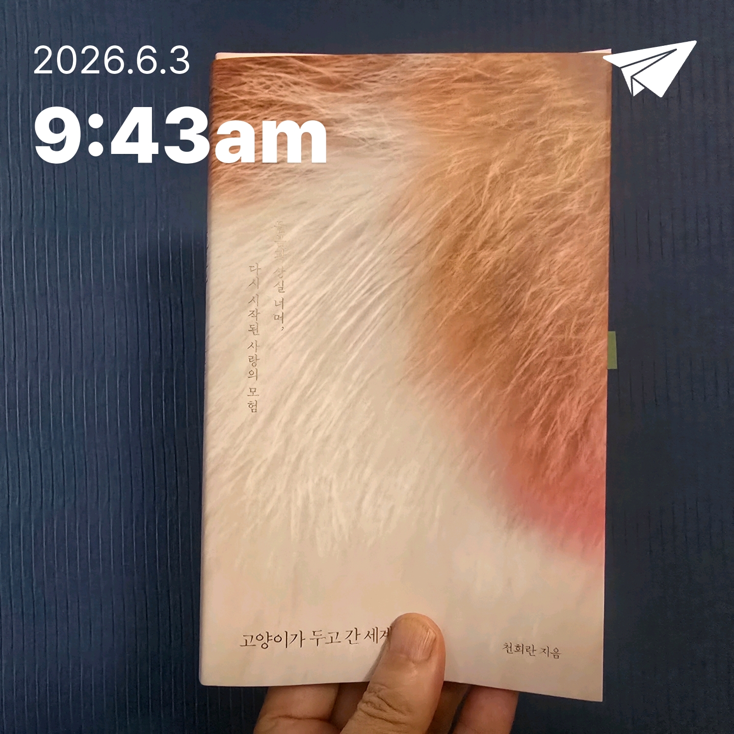 교육학박사  최경희님의 고양이가 두고 간 세계 게시물 이미지