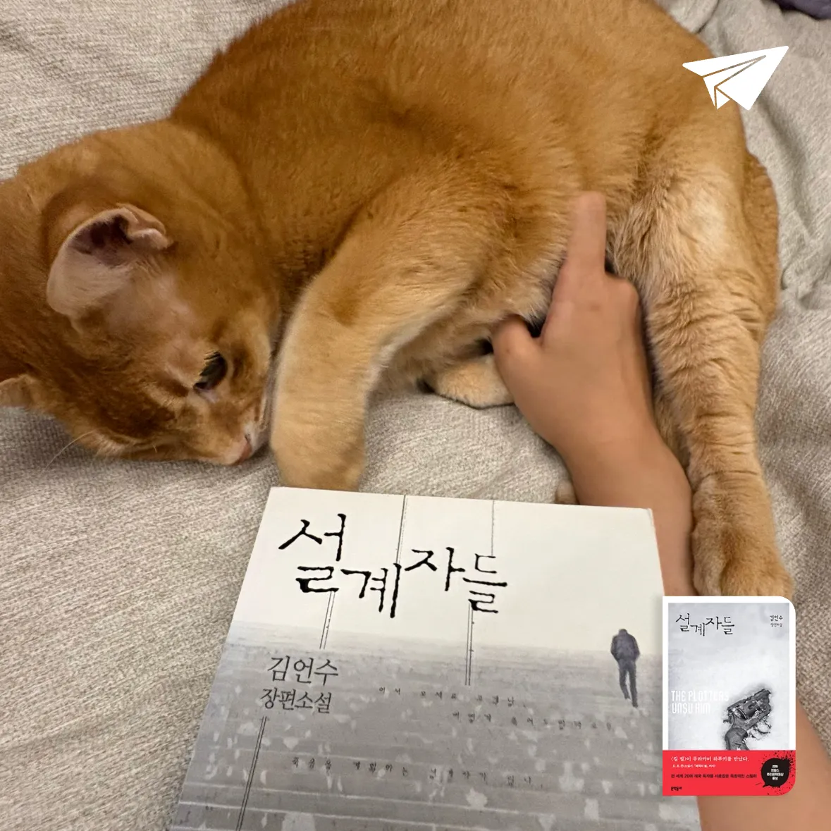 꽃봉이님의 설계자들 게시물 이미지