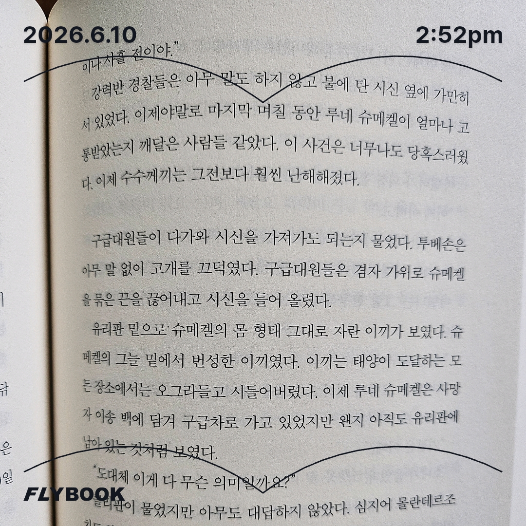 주진숙님의 얼굴 없는 살인자 게시물 이미지
