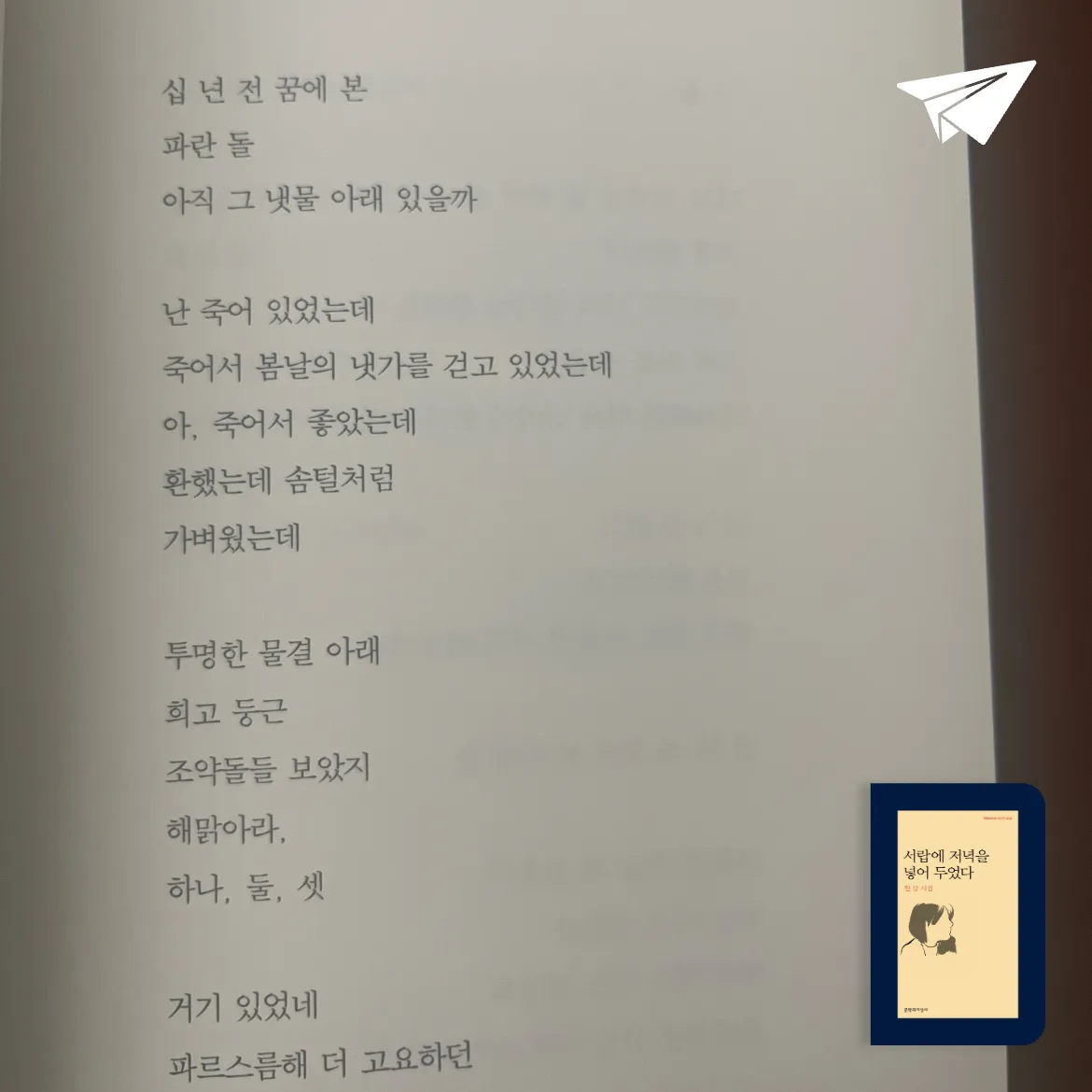 🐶❤️님의 서랍에 저녁을 넣어 두었다 게시물 이미지
