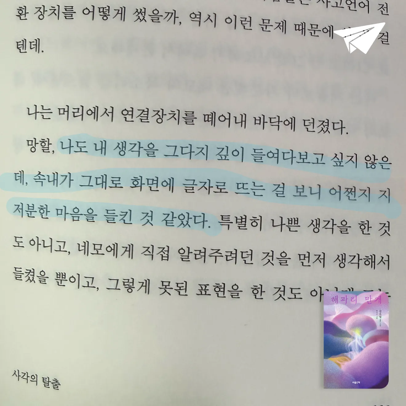 큰목소리님의 해파리 만개 게시물 이미지