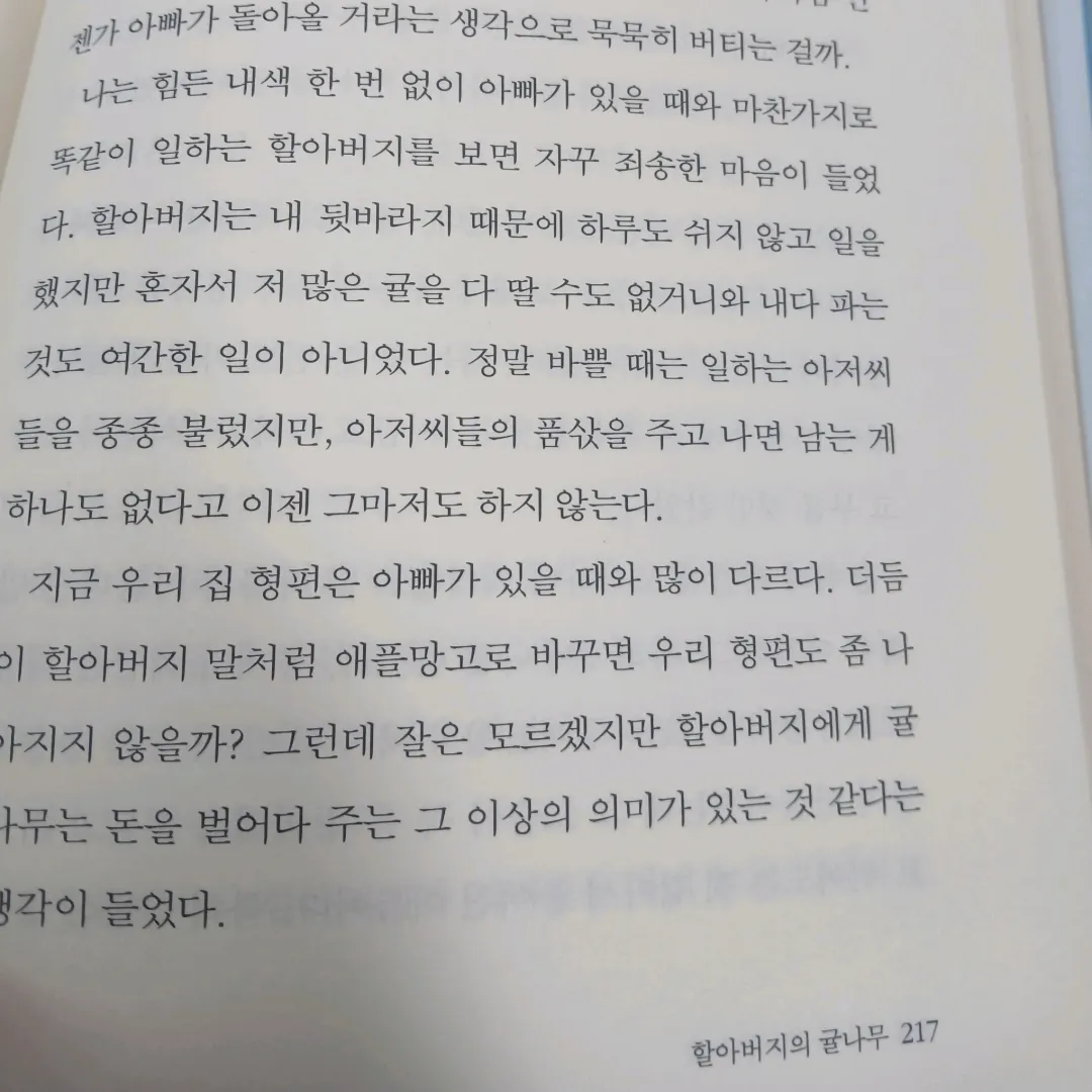 20416김민혁님의  게시물 이미지