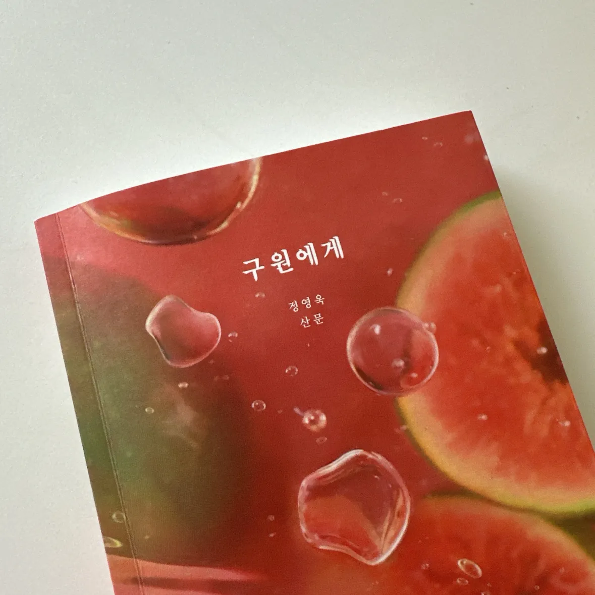 울찌님의 구원에게 게시물 이미지