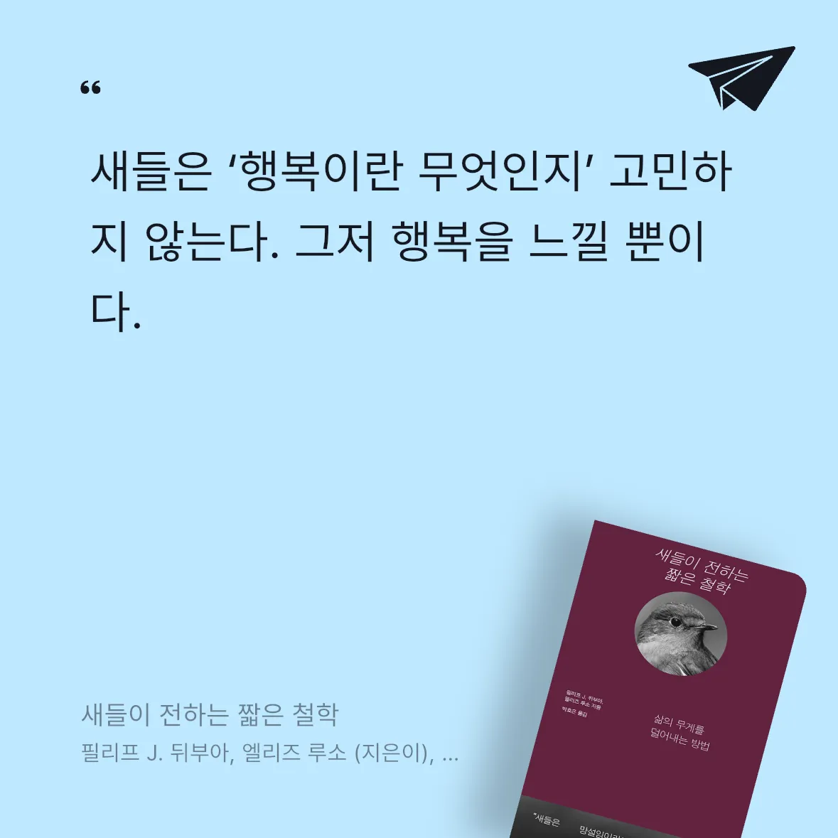 빈님의 새들이 전하는 짧은 철학 게시물 이미지