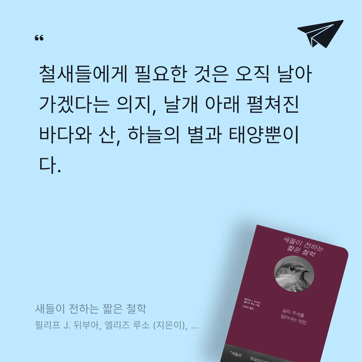 빈님의 새들이 전하는 짧은 철학 게시물 이미지