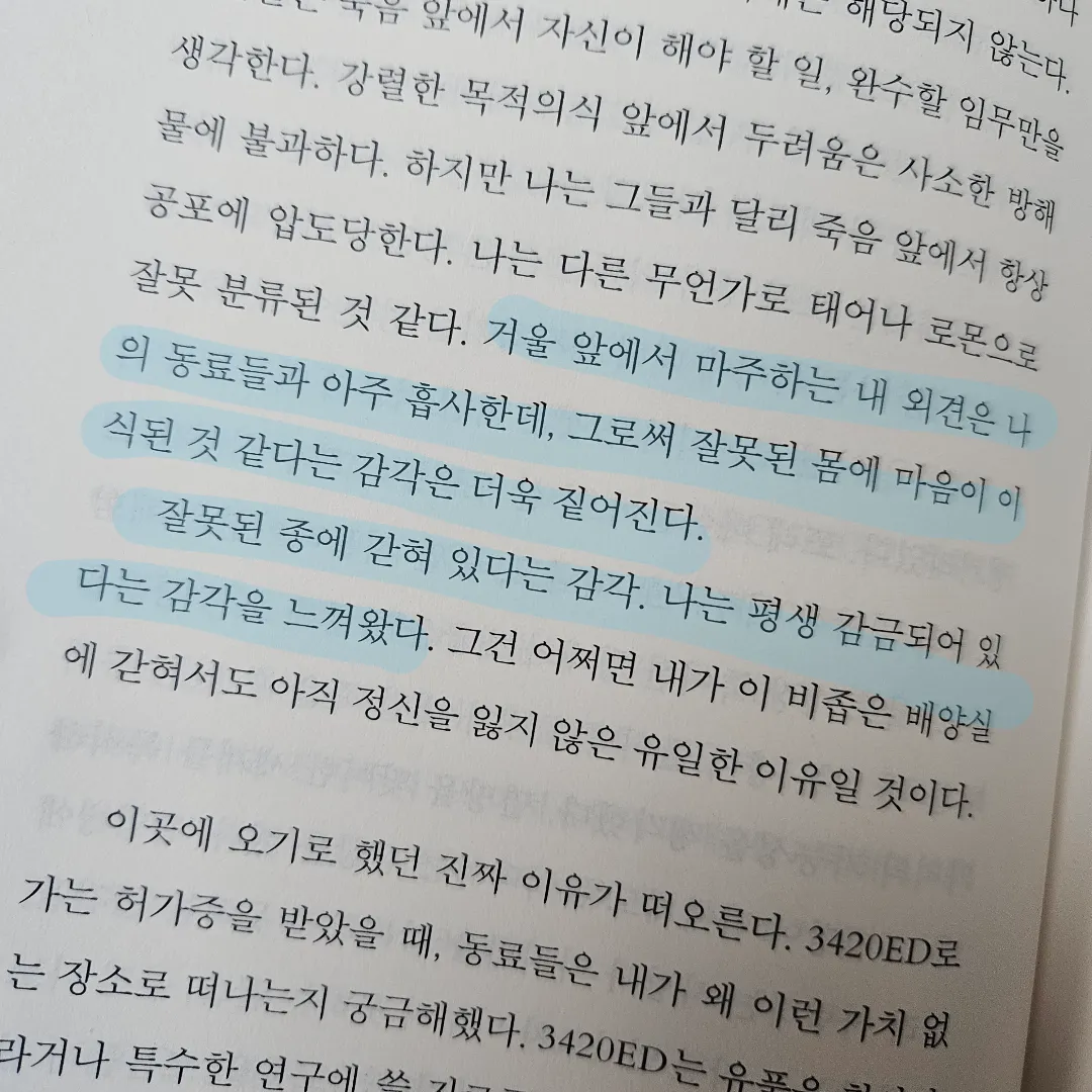 Joo님의 방금 떠나온 세계 게시물 이미지