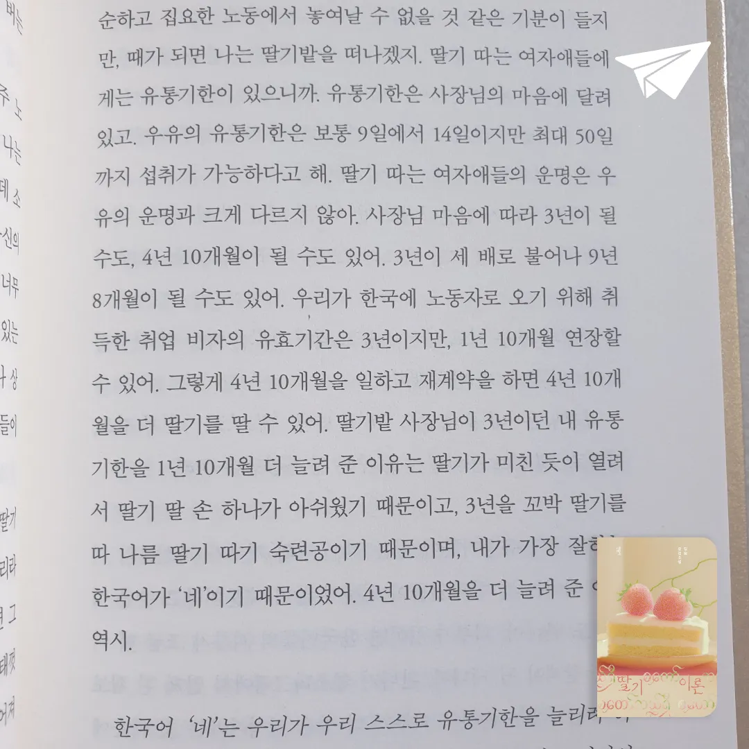 맥거핀님의 딸기 이론 게시물 이미지