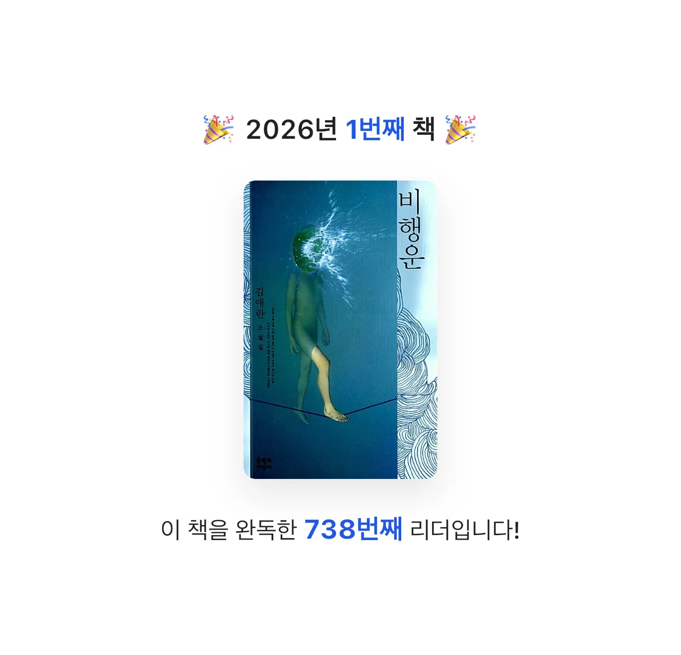 바나나 나나님의 비행운 게시물 이미지