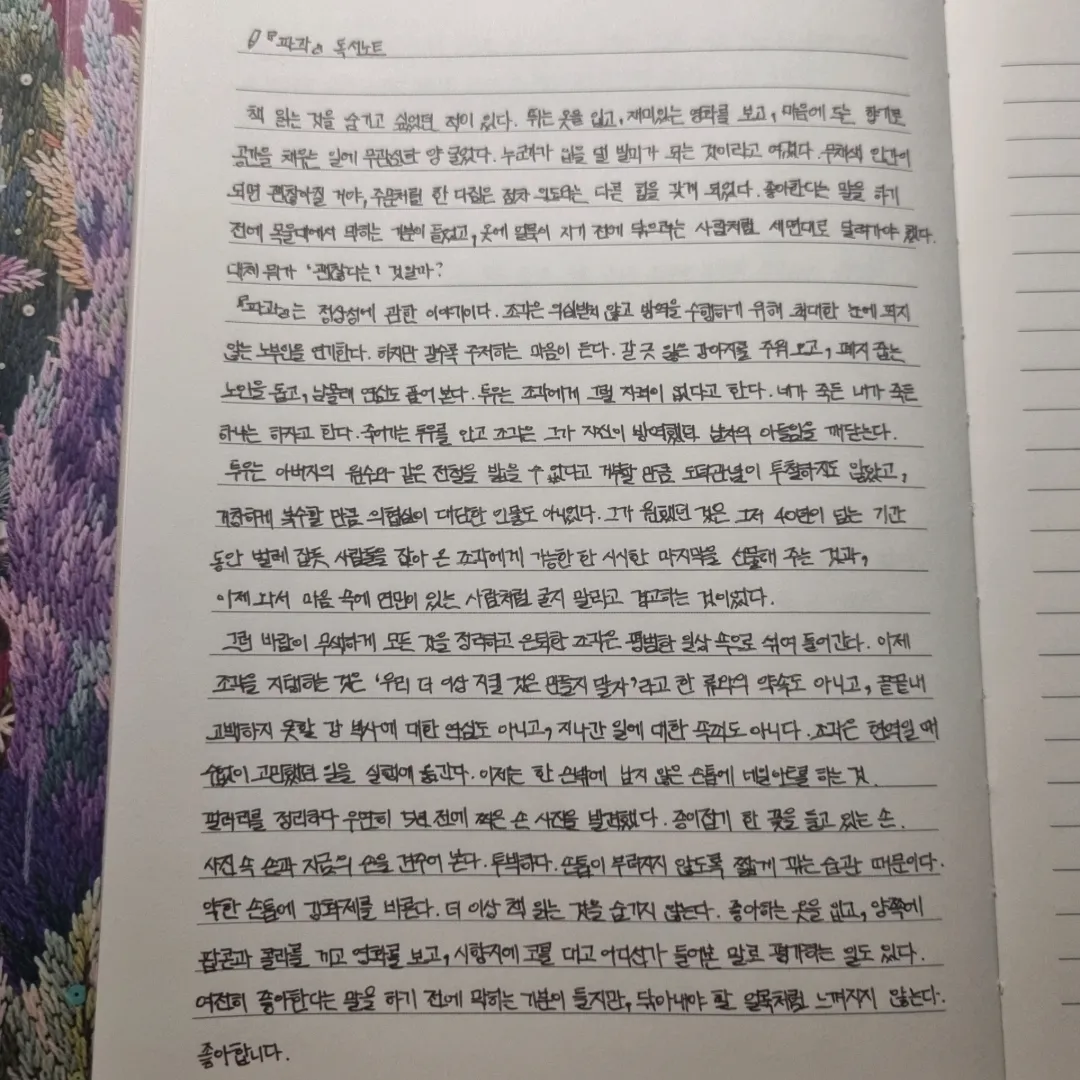 현진님의 파과 게시물 이미지