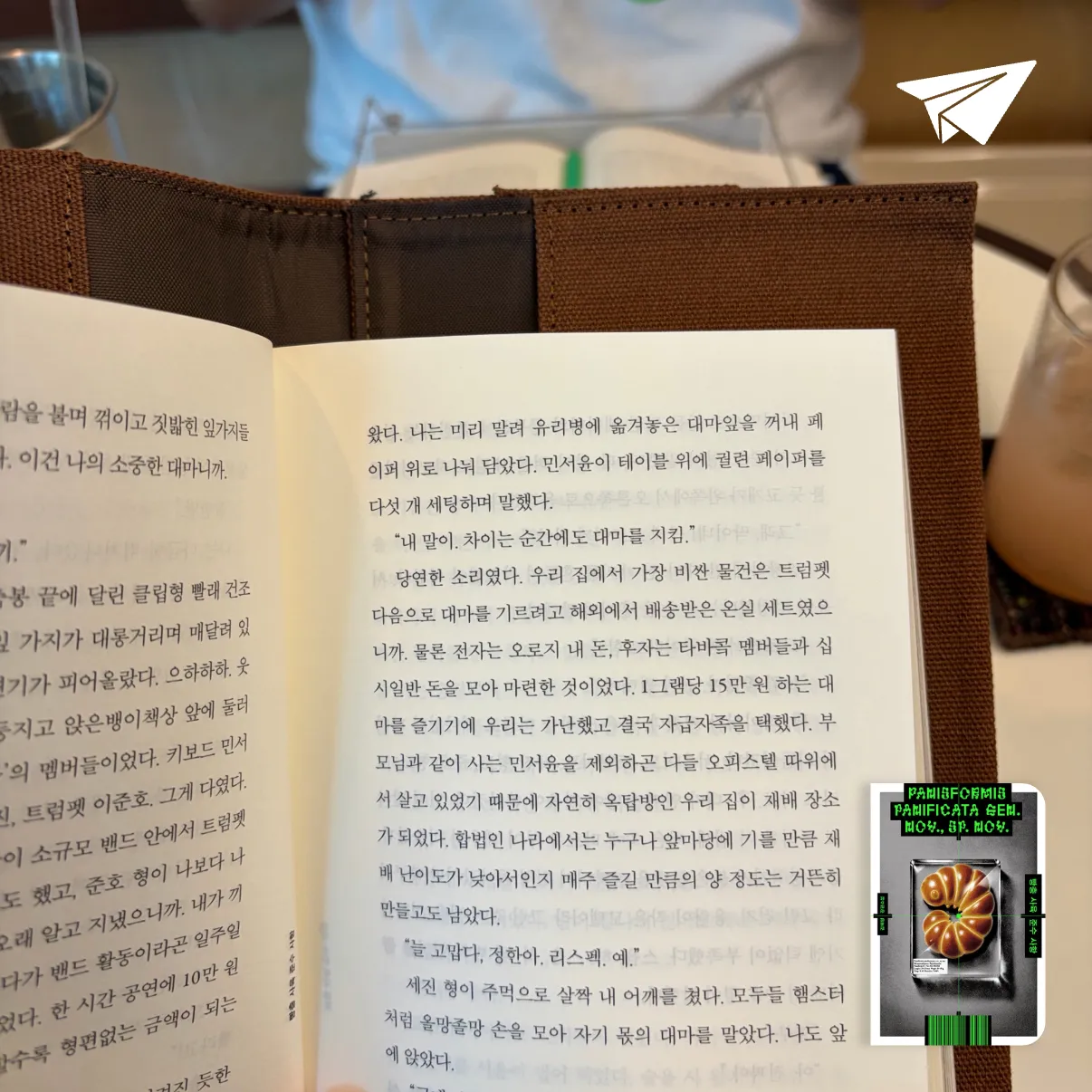 용님의 빵충 사육 준수 사항 게시물 이미지