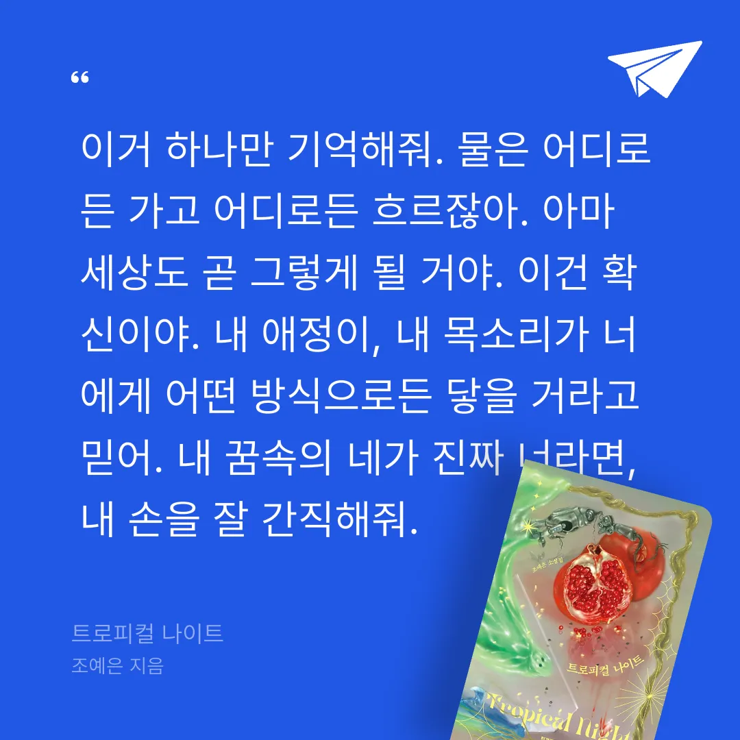 쭈양뽀야님의 트로피컬 나이트 게시물 이미지