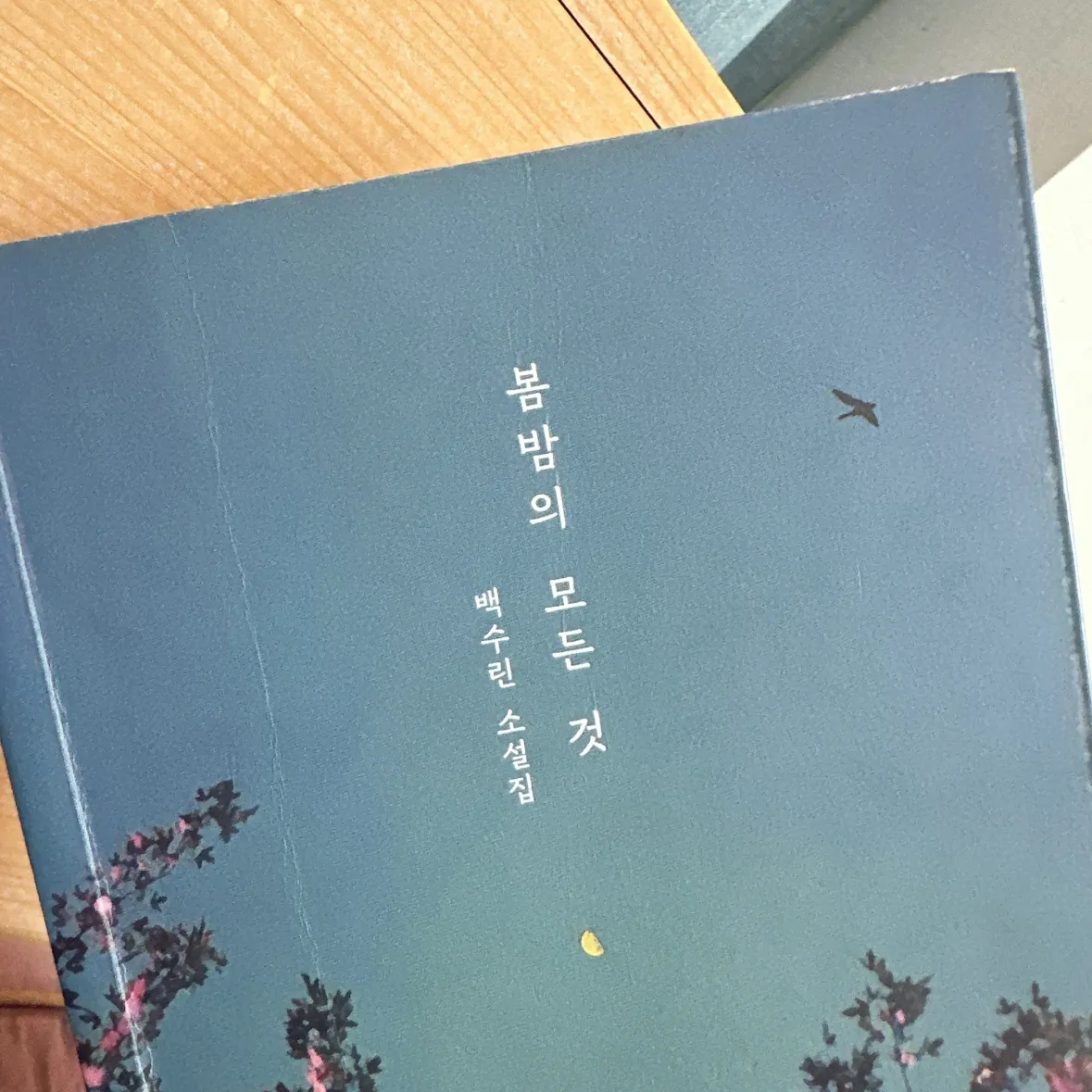 울찌님의 봄밤의 모든 것 게시물 이미지
