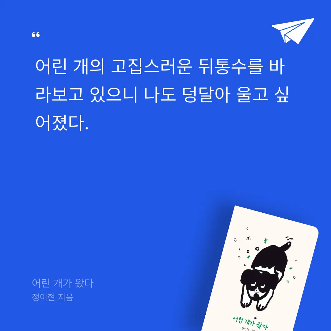 라즈베리칩님의 어린 개가 왔다 게시물 이미지