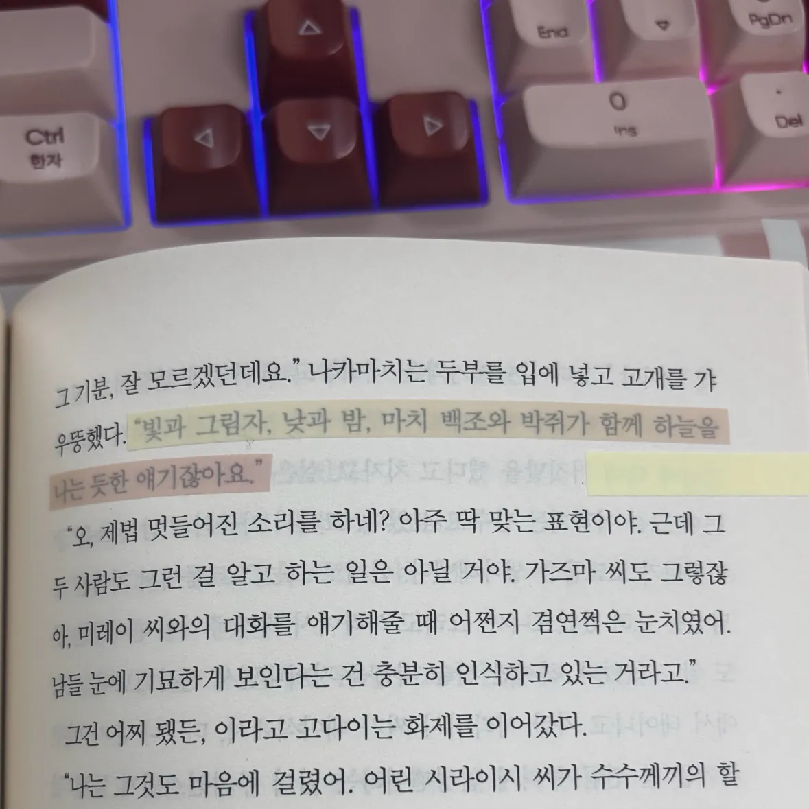 박서아님의 백조와 박쥐 게시물 이미지