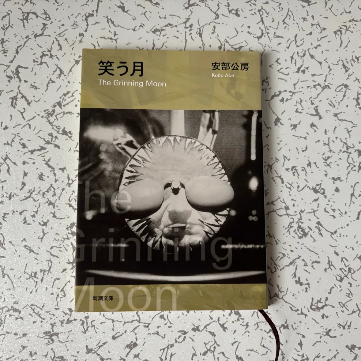 도는 도넛의 도님의  게시물 이미지
