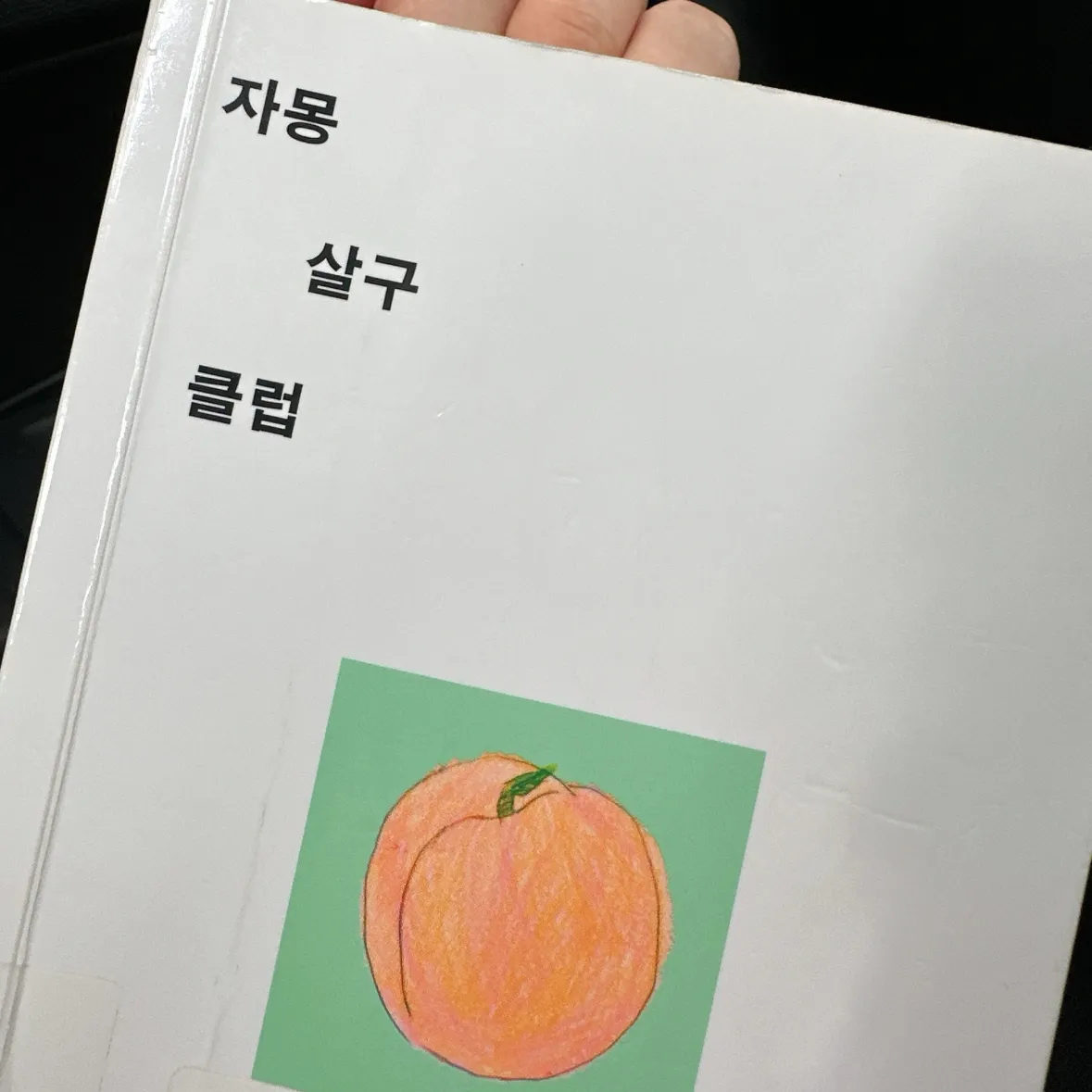 울찌님의 자몽살구클럽 게시물 이미지