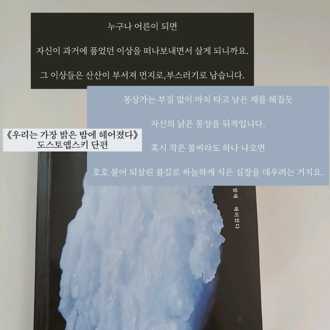 루체님의 우리는 가장 밝은 밤에 헤어졌다 게시물 이미지
