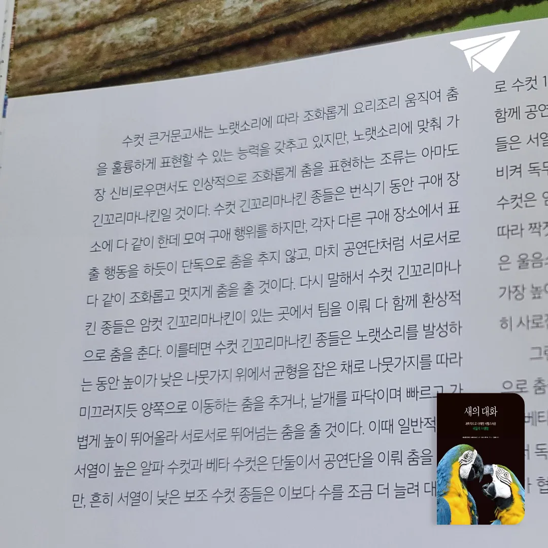 좀님의 새의 대화 게시물 이미지
