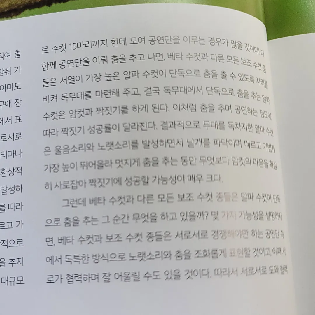 좀님의 새의 대화 게시물 이미지