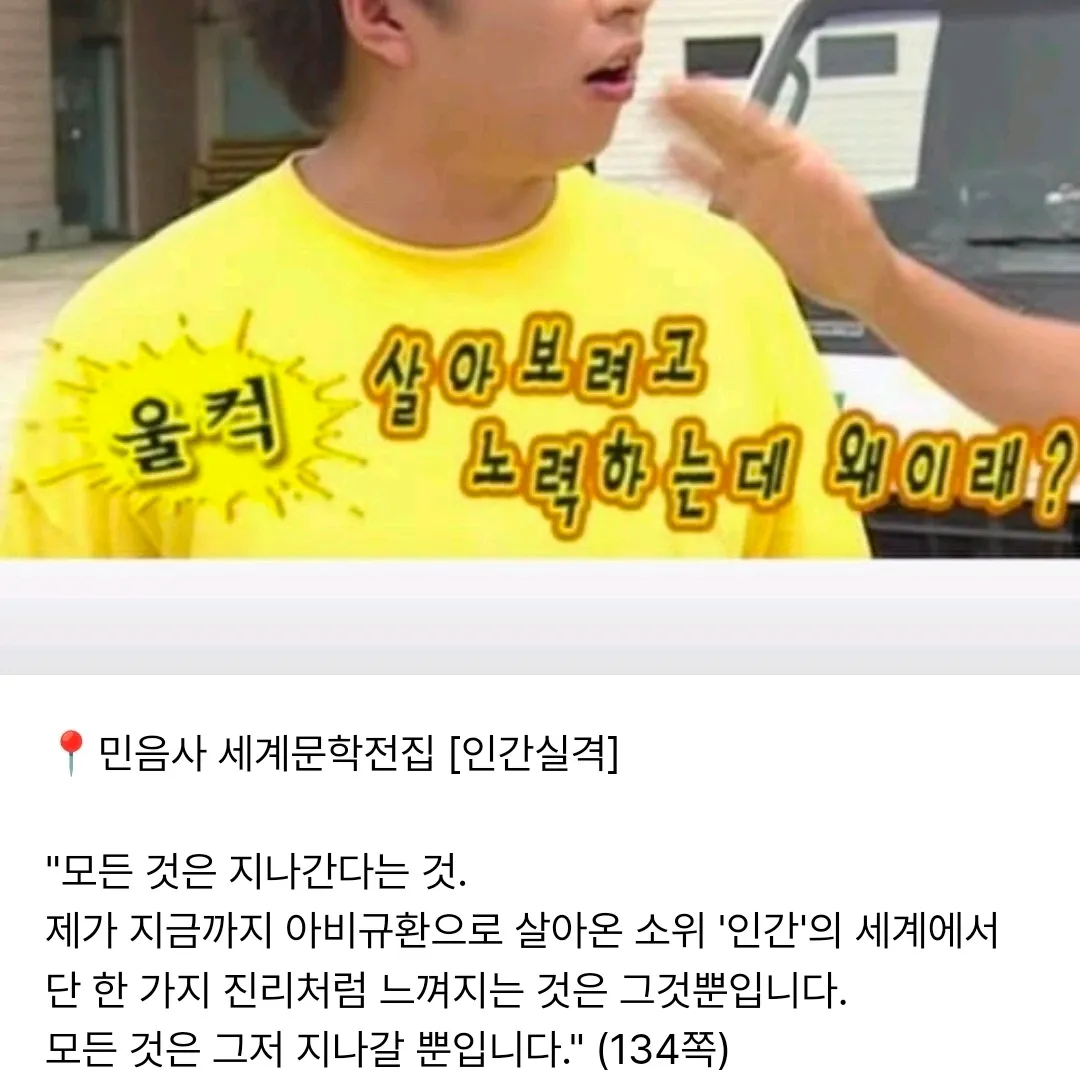 도마도님의  게시물 이미지