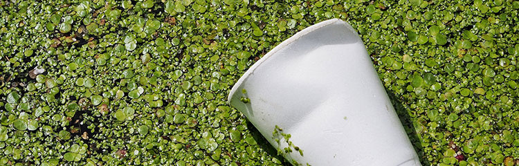 사회 문제를 
해결하고 싶어요