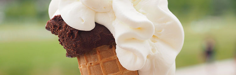 입맛을
잃었어요