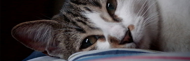 사는게
힘들어요