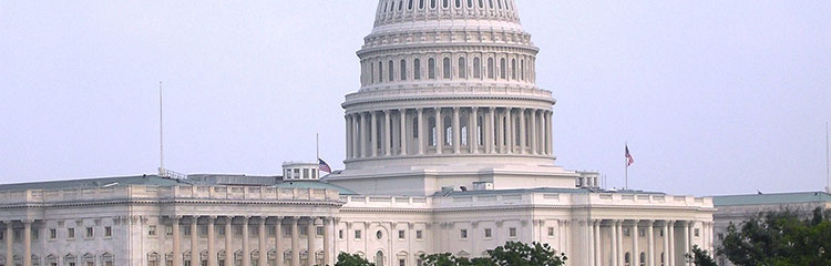 세계 각 나라의 
건국사가 궁금해요