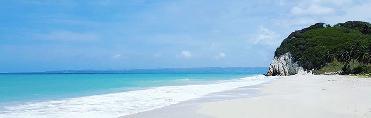 여름 휴가
어디로 가지?