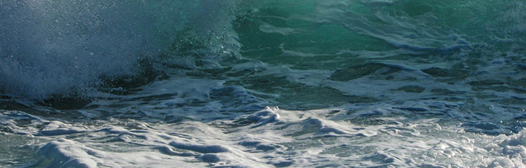 멘탈을 강하게
만들고 싶어요