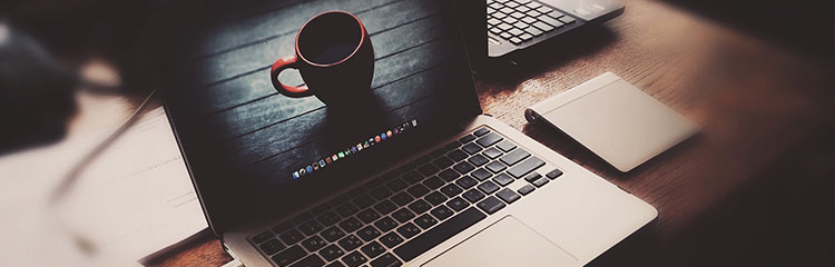 업무 스킬을
높이고 싶어요