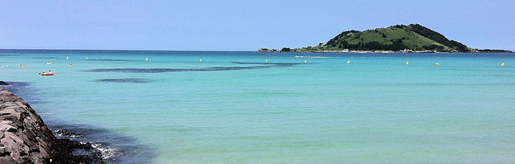 제주도로
떠나고 싶어요