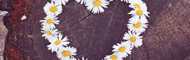 마음이
흔들려요